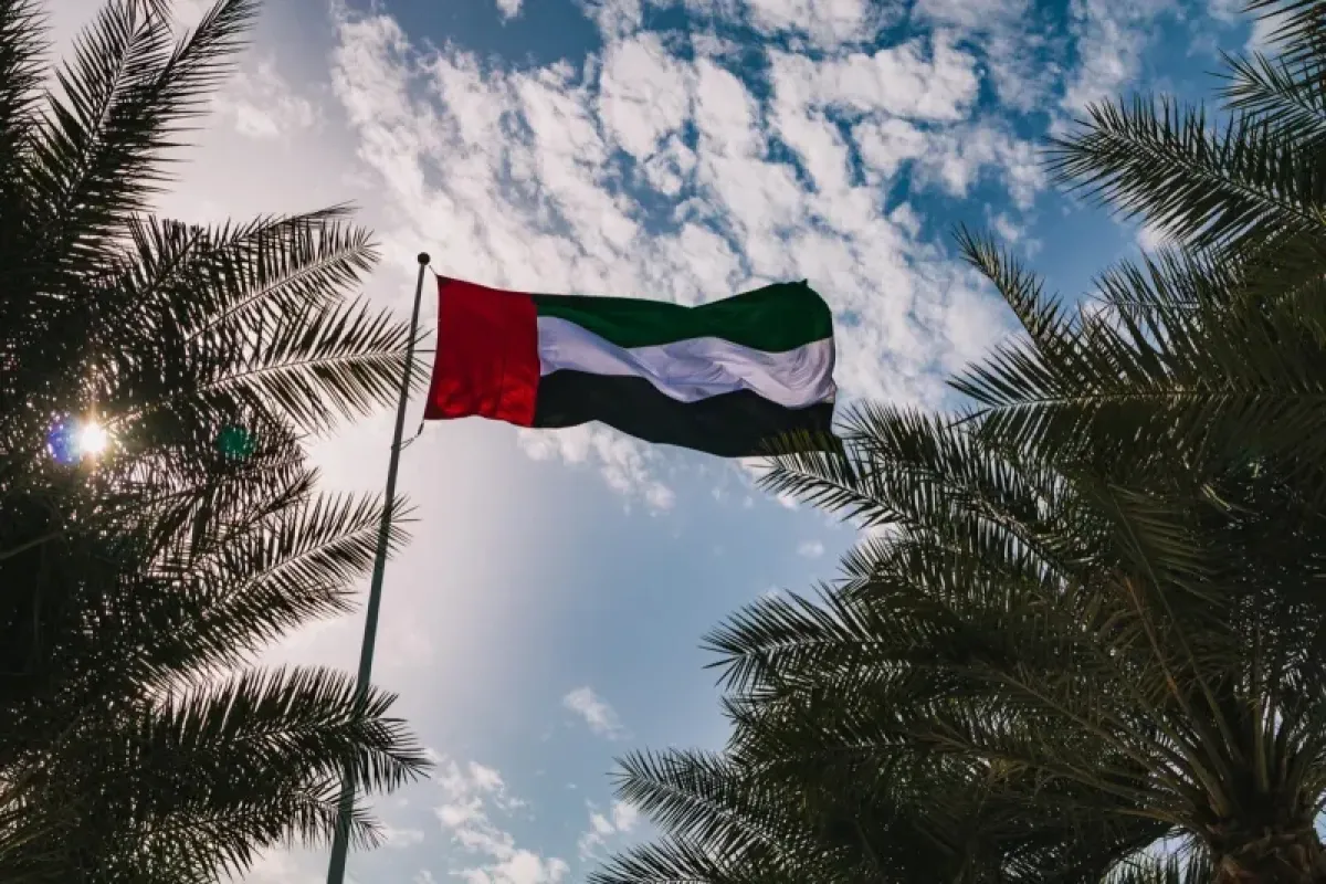 UAE Warns Against Imposing New Realities in Strait of Hormuz