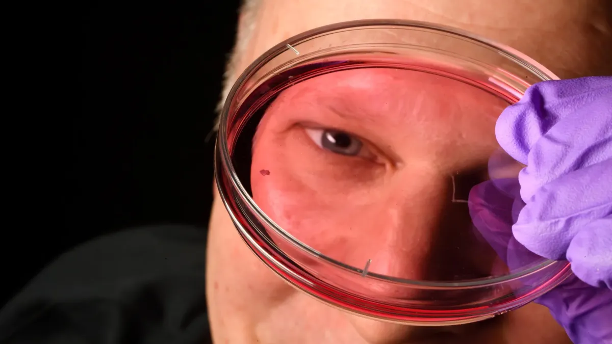 Vitamin A Discovery Rewrites How Sharp Vision Develops