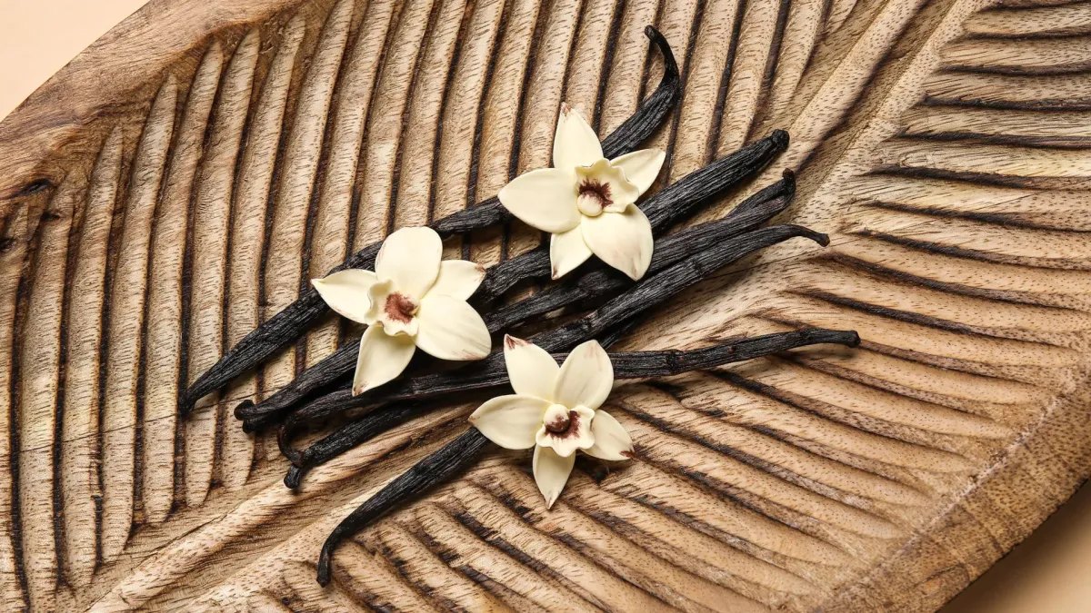 Vanilla Extract's Secret: Could Heal Wounds?