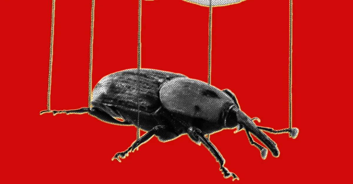 AI Accelerates PHP Bug Exploitation, Sparking Security Scramble